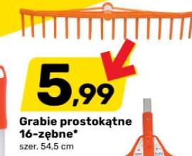 grabie