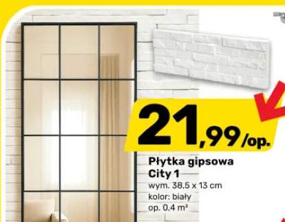 płytka gipsowa