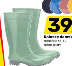 kalosze damskie