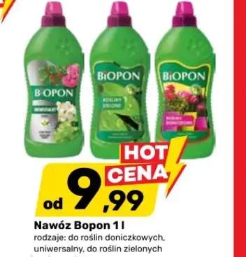 nawóz do roślin doniczkowych