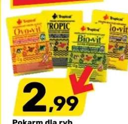 pokarm dla rybek