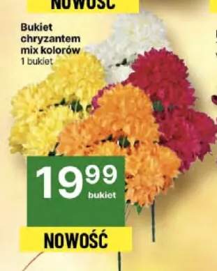 chryzantema sztuczna