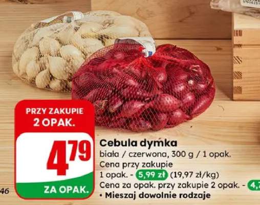 cebula dymka