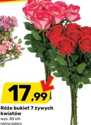 Róże bukiet 7 żywych kwiatów