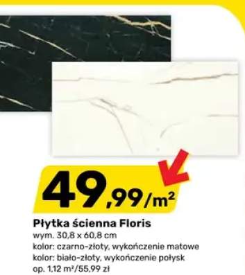Płytka ścienna Floris
