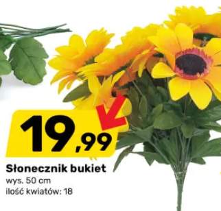 Słonecznik bukiet