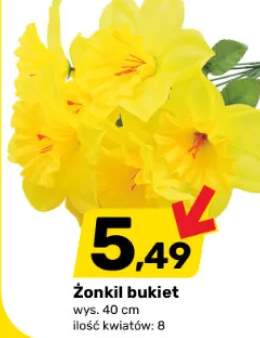 Żonkil bukiet