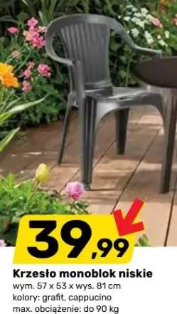 Krzesło monoblok niskie