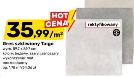 Gres szkliwiony Taigo rektyfikowany 59,7x59,7cm kolor jasnoszary wykończenie mat mrozoodporny