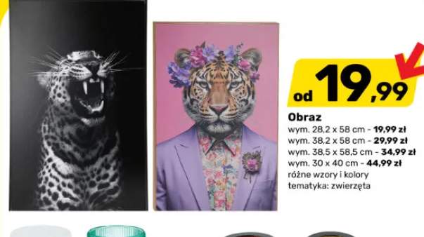 Obraz 28,2x58 cm