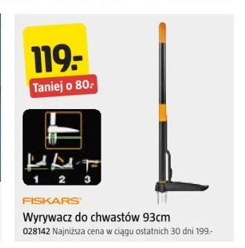 wyrywacz chwastów