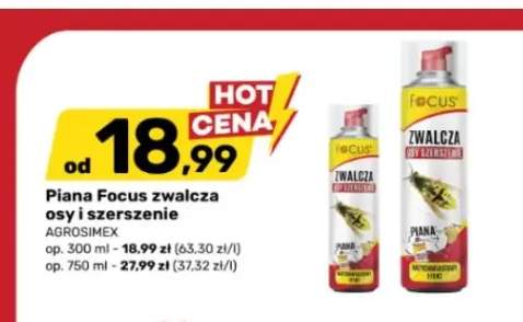 Piana Focus zwalcza osy i szerszenie