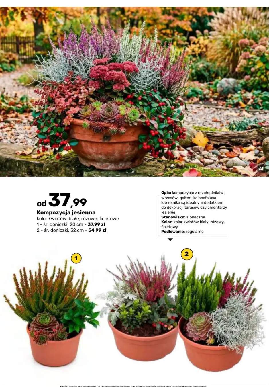 Kompozycja jesienna śr. doniczki 20 cm