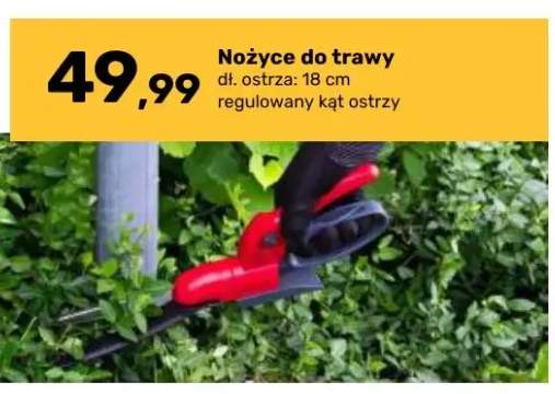 Nożyce do trawy