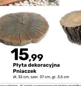 Płyta dekoracyjna Pniaczek