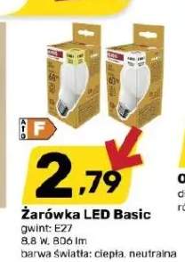 Żarówka LED Basic neutralna +1 wariant
