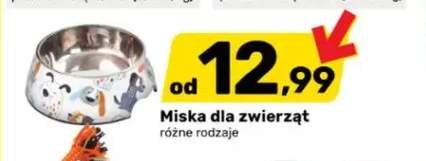 Miska dla zwierząt