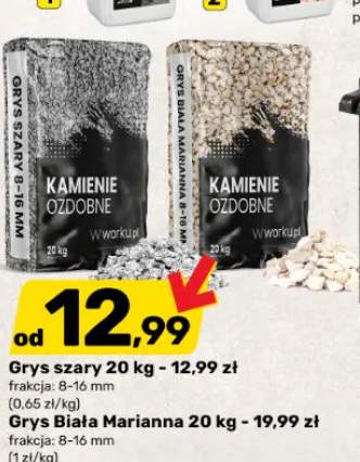 Grys szary +1 wariant