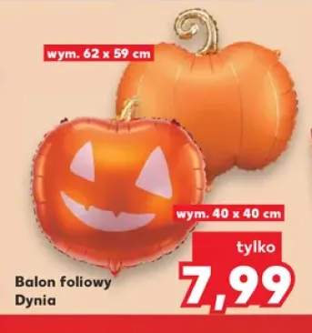 dynia