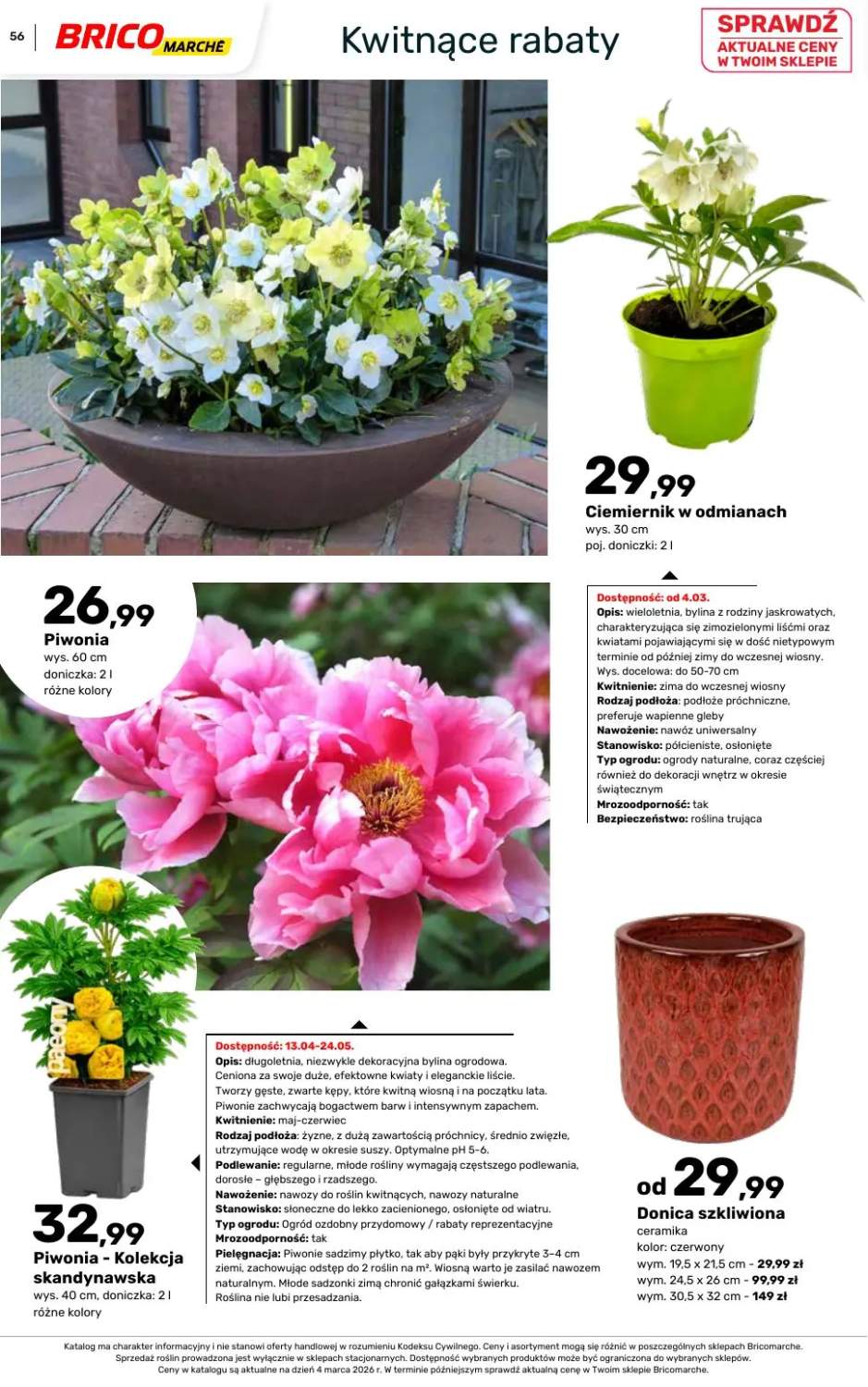 Gazetka – strona 56