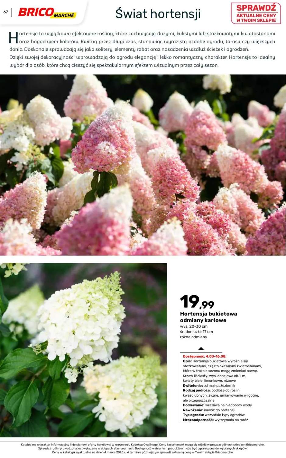 Gazetka – strona 67