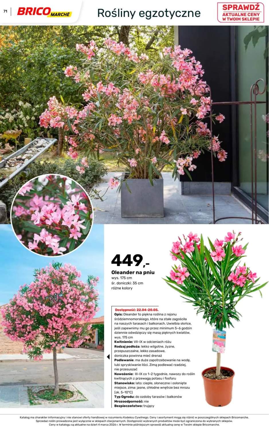 Gazetka – strona 71