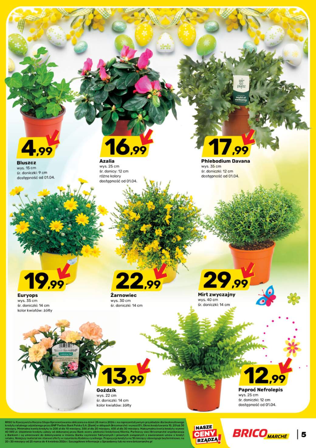 Gazetka – strona 5