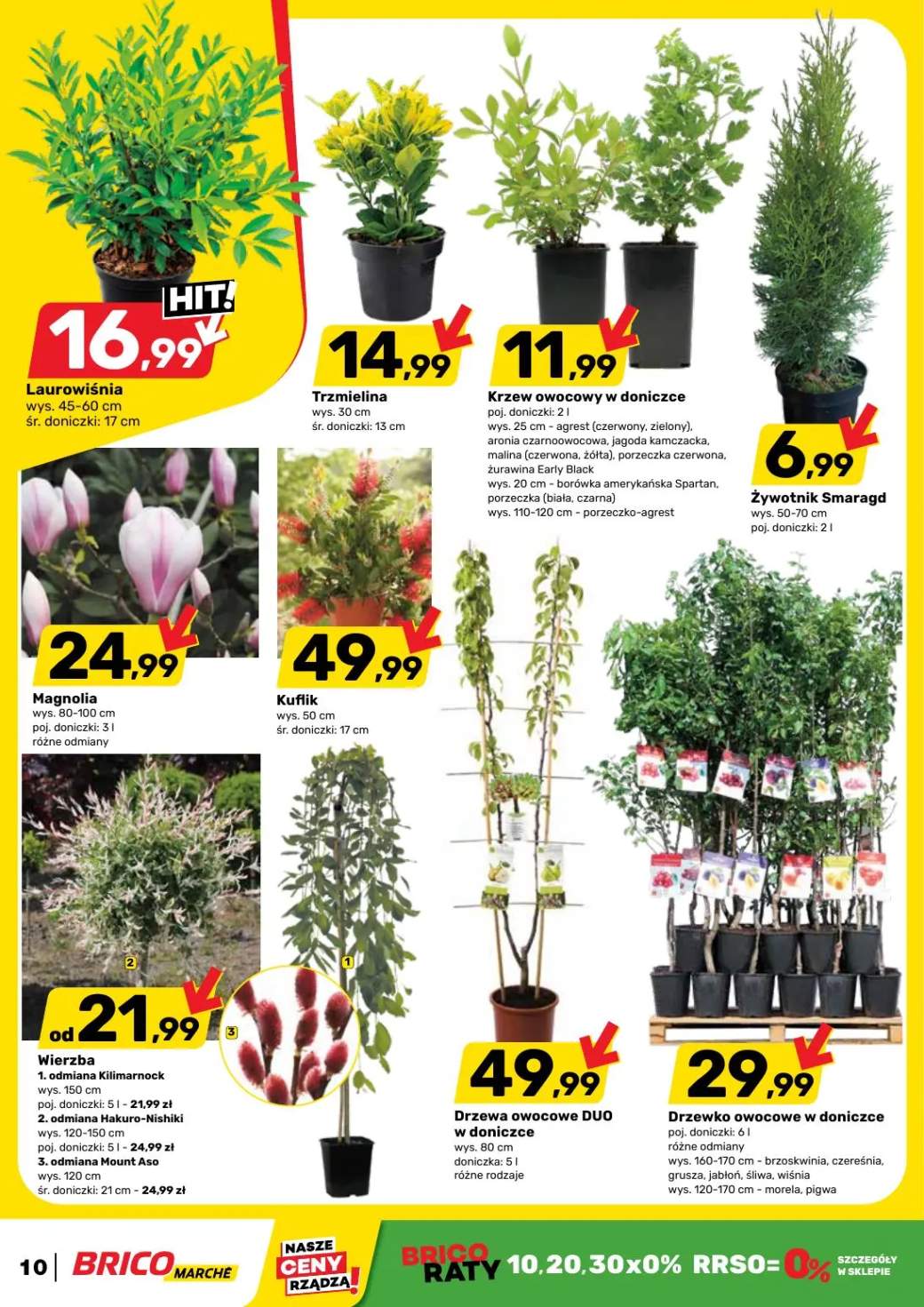 Gazetka – strona 10