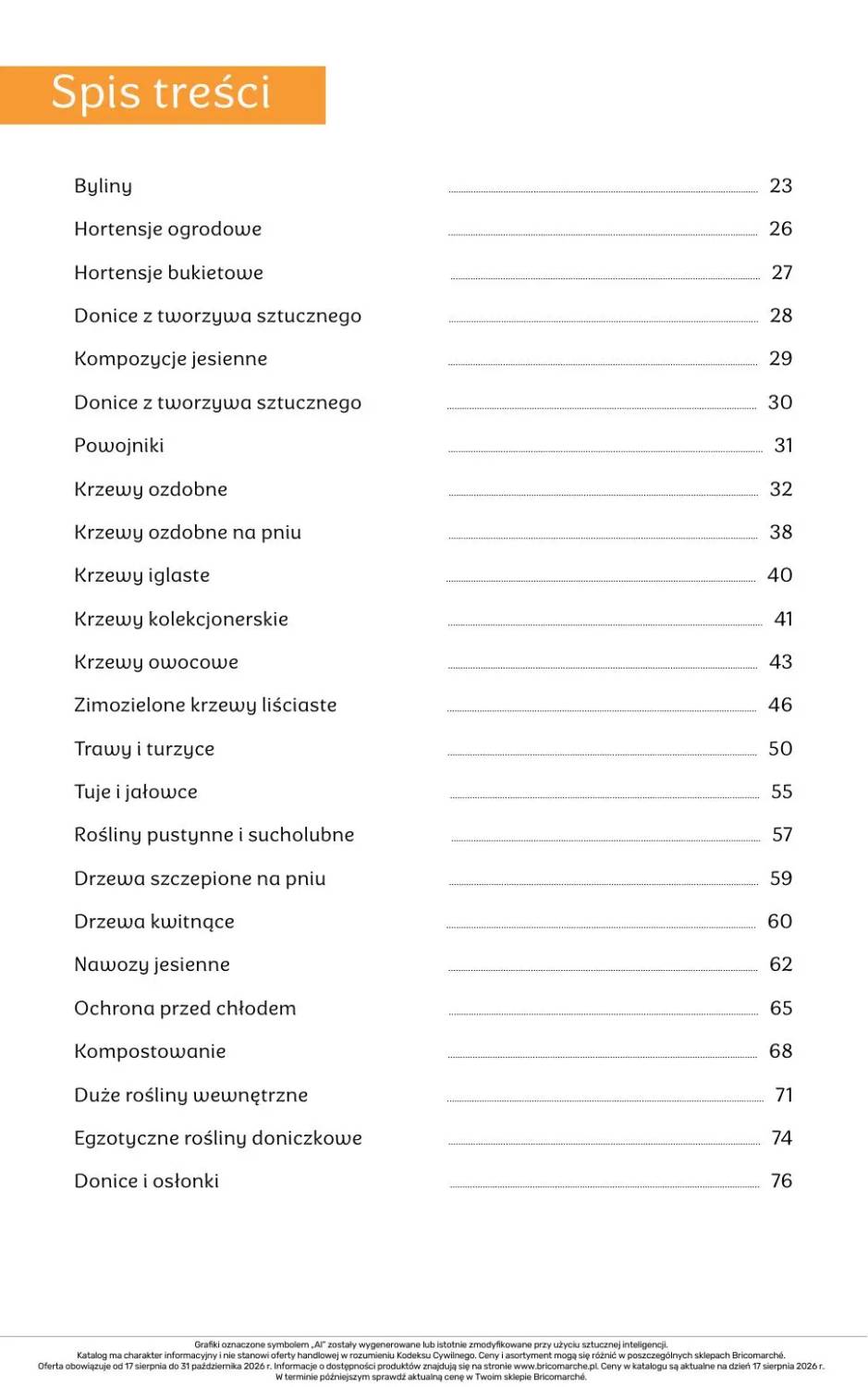 Gazetka – strona 22