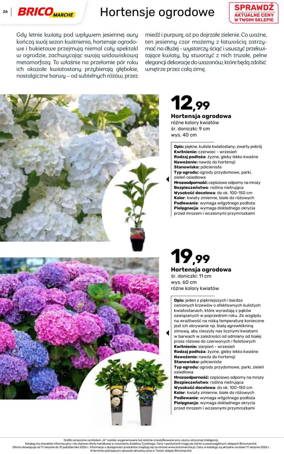 Gazetka – strona 26