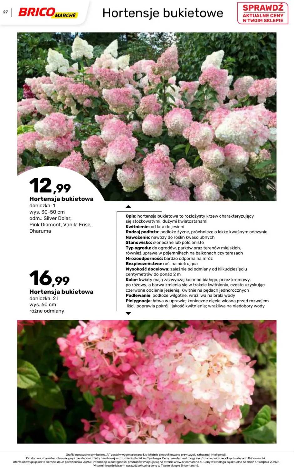 Gazetka – strona 27