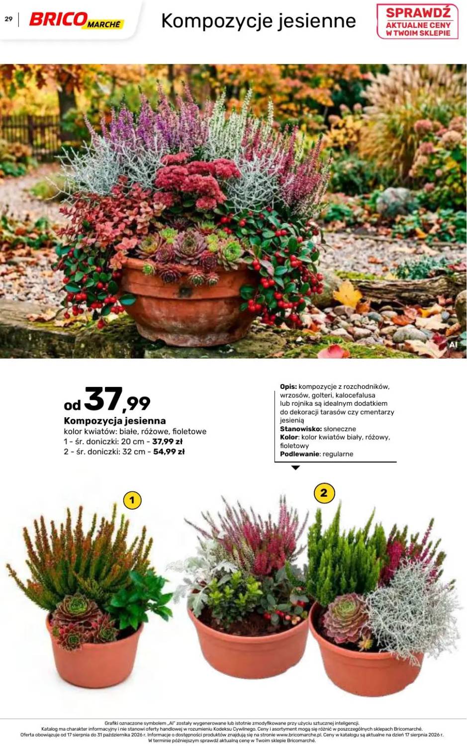 Gazetka – strona 29