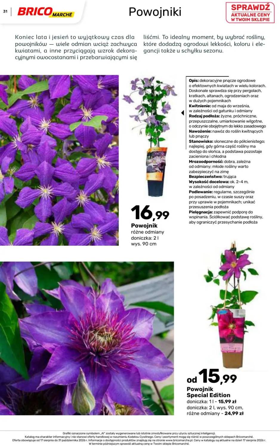 Gazetka – strona 31