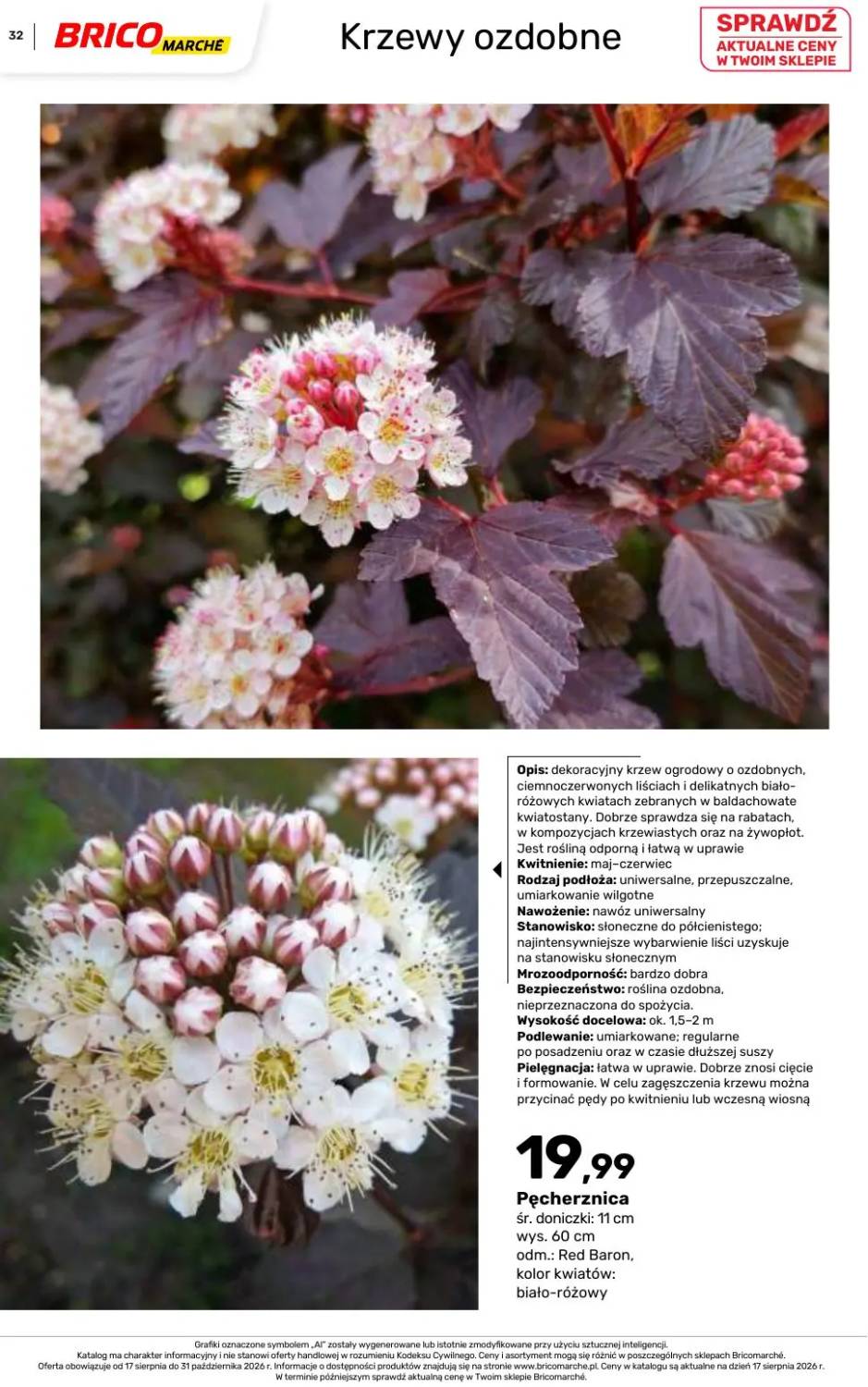 Gazetka – strona 32