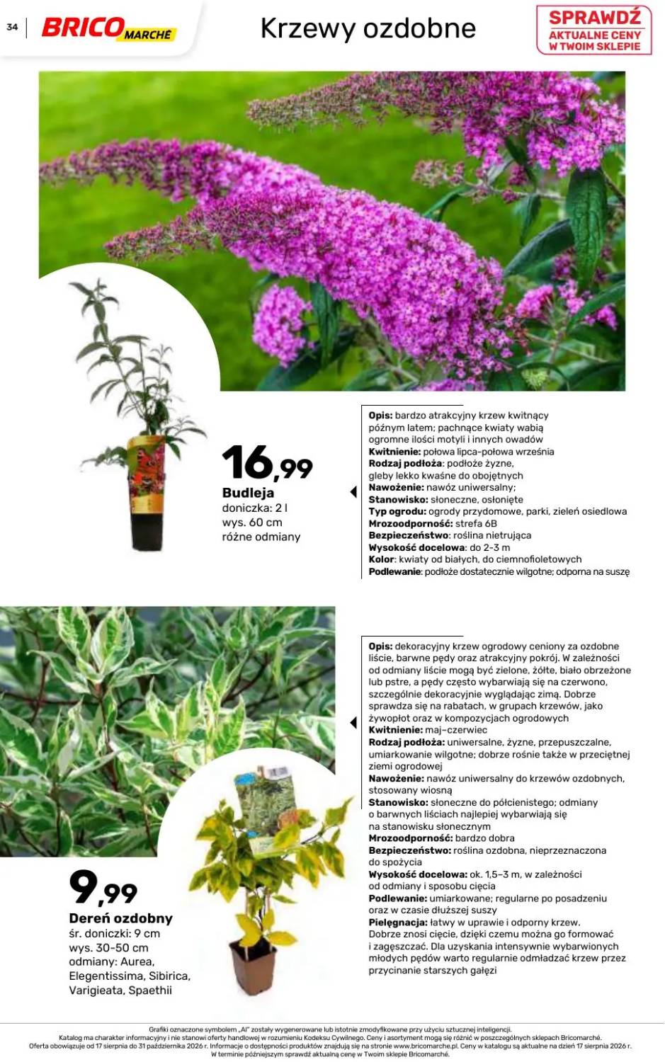 Gazetka – strona 34