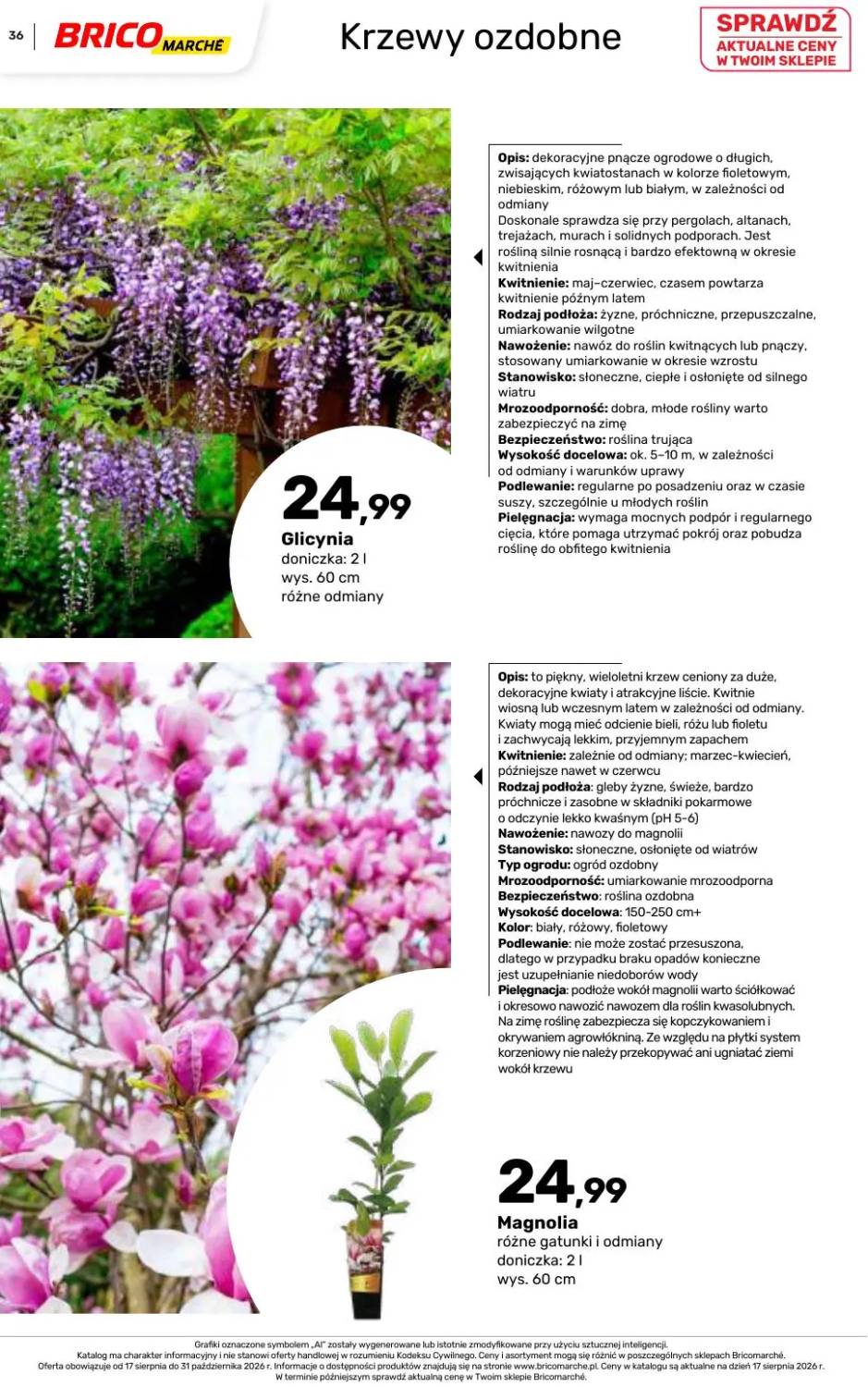 Gazetka – strona 36