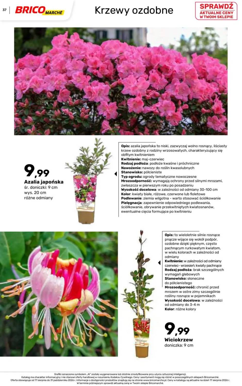 Gazetka – strona 37