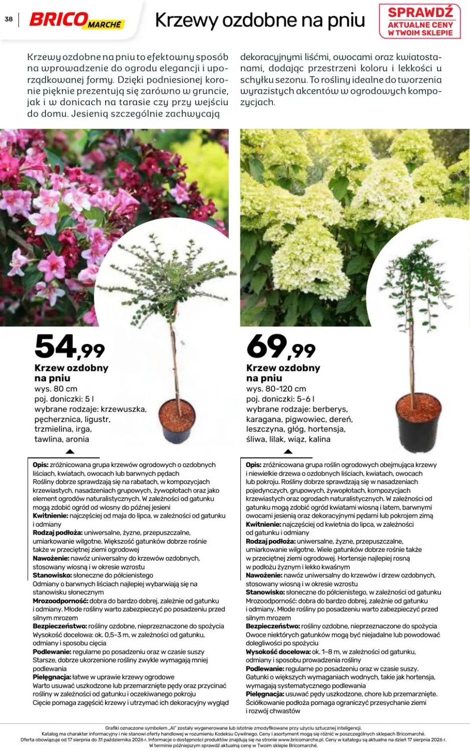 Gazetka – strona 38