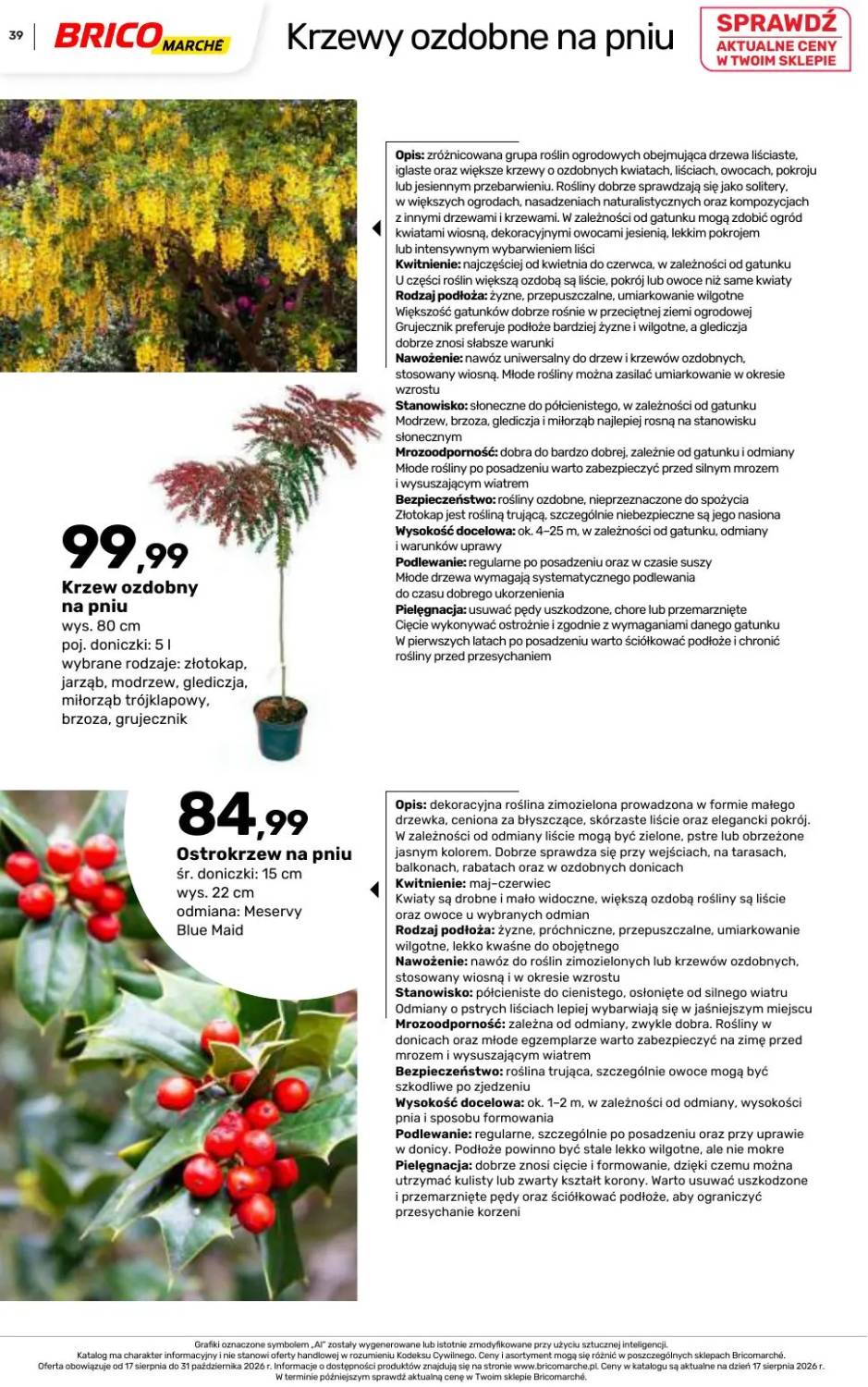 Gazetka – strona 39
