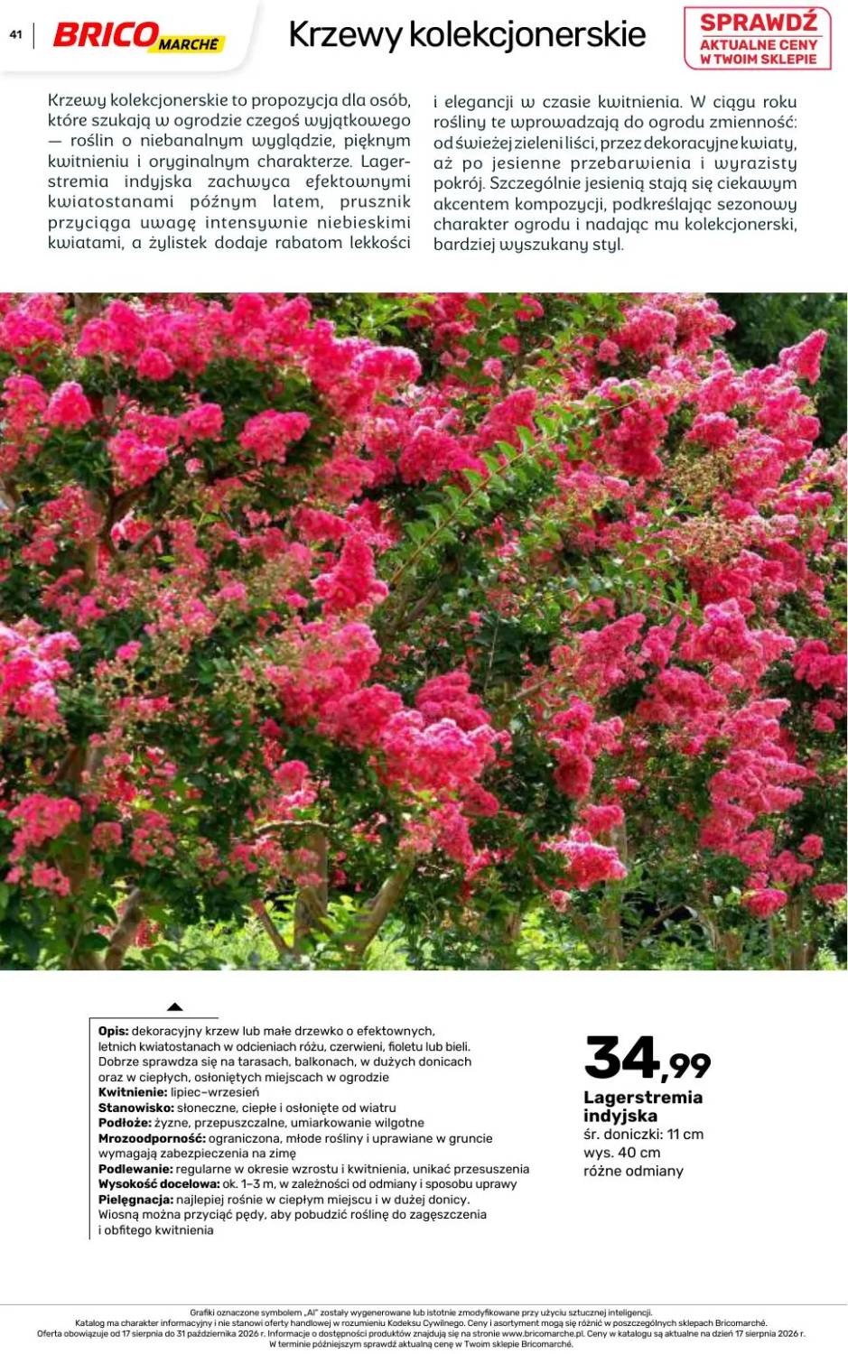Gazetka – strona 41