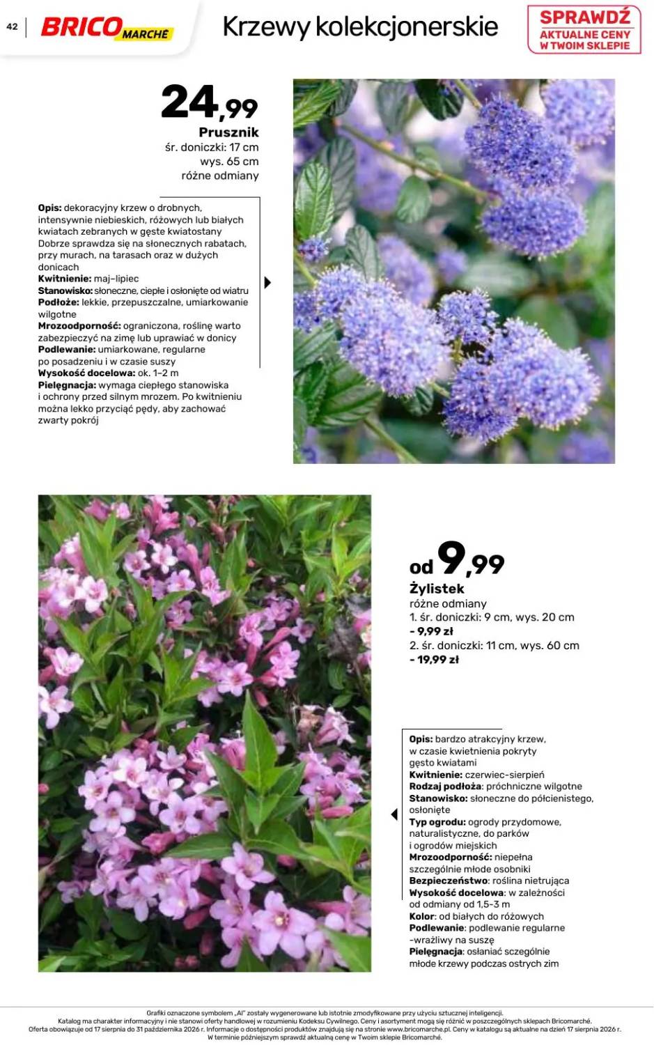 Gazetka – strona 42