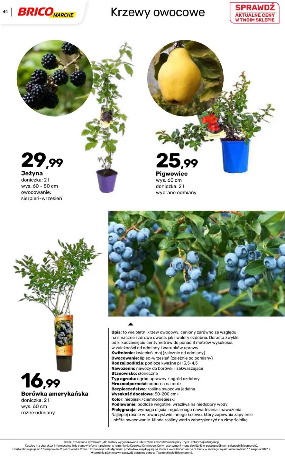 Gazetka – strona 44