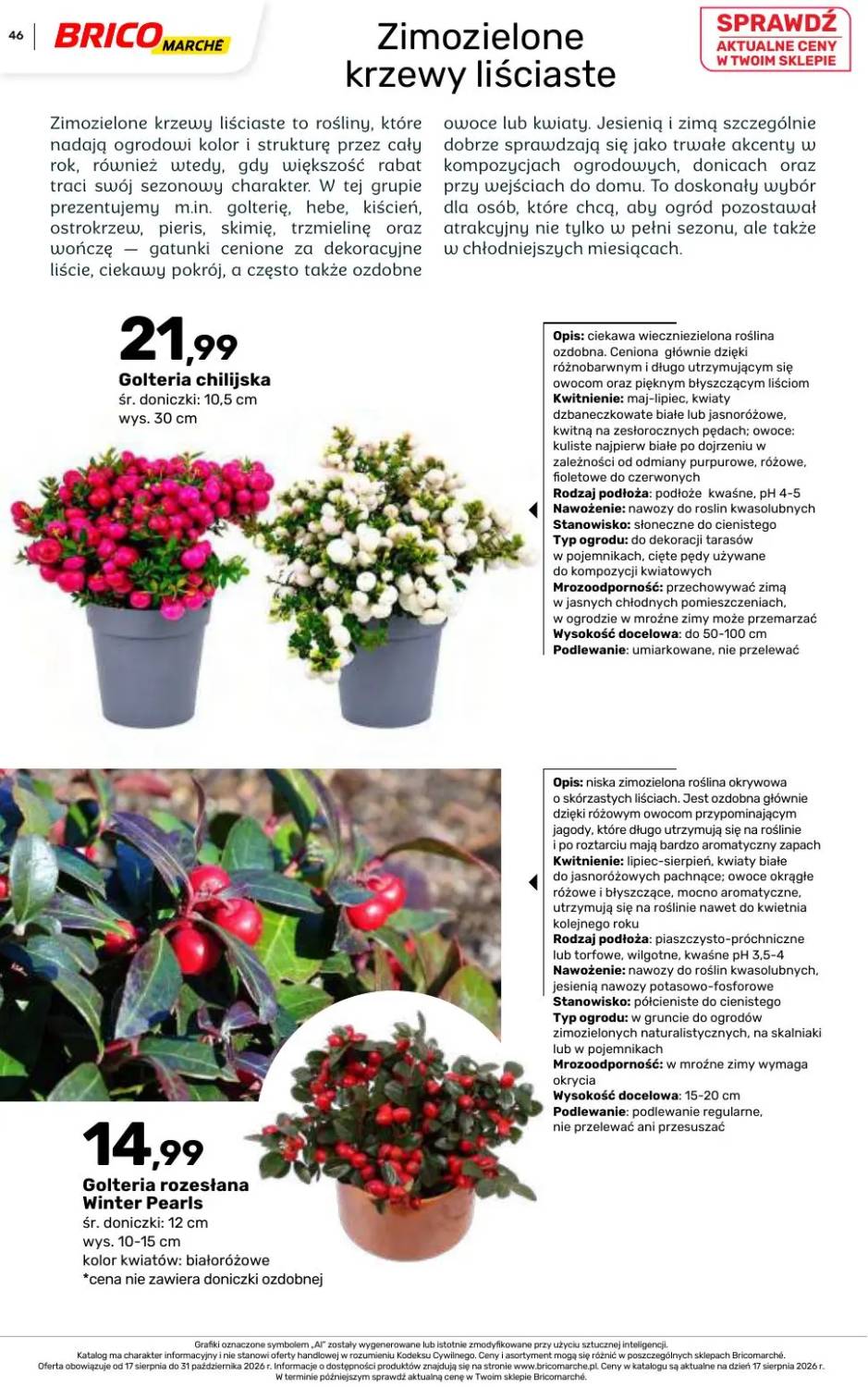 Gazetka – strona 46