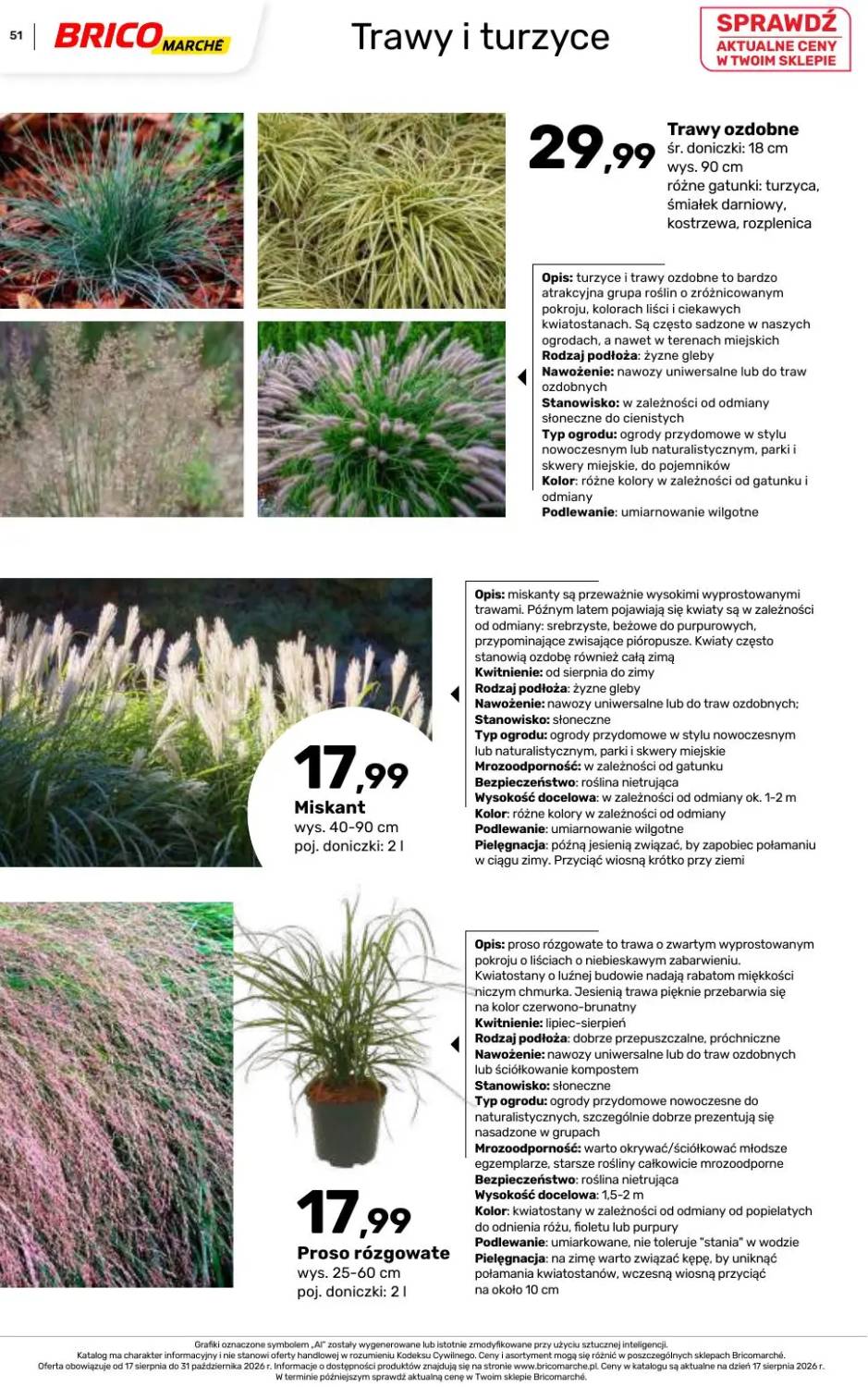 Gazetka – strona 51