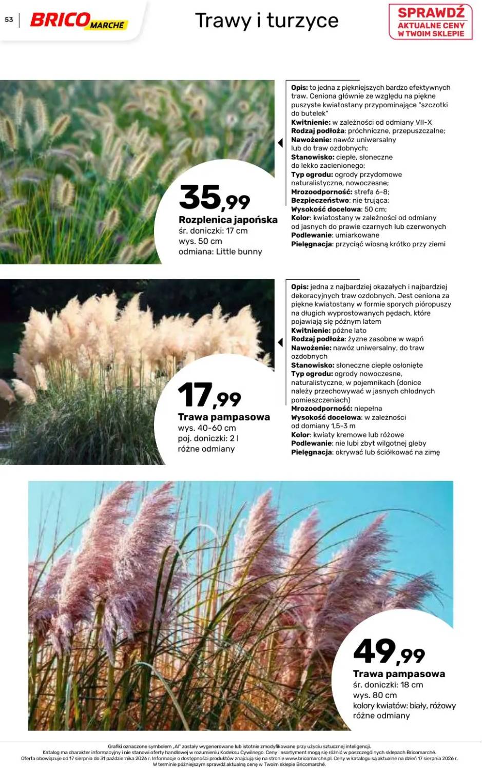 Gazetka – strona 53