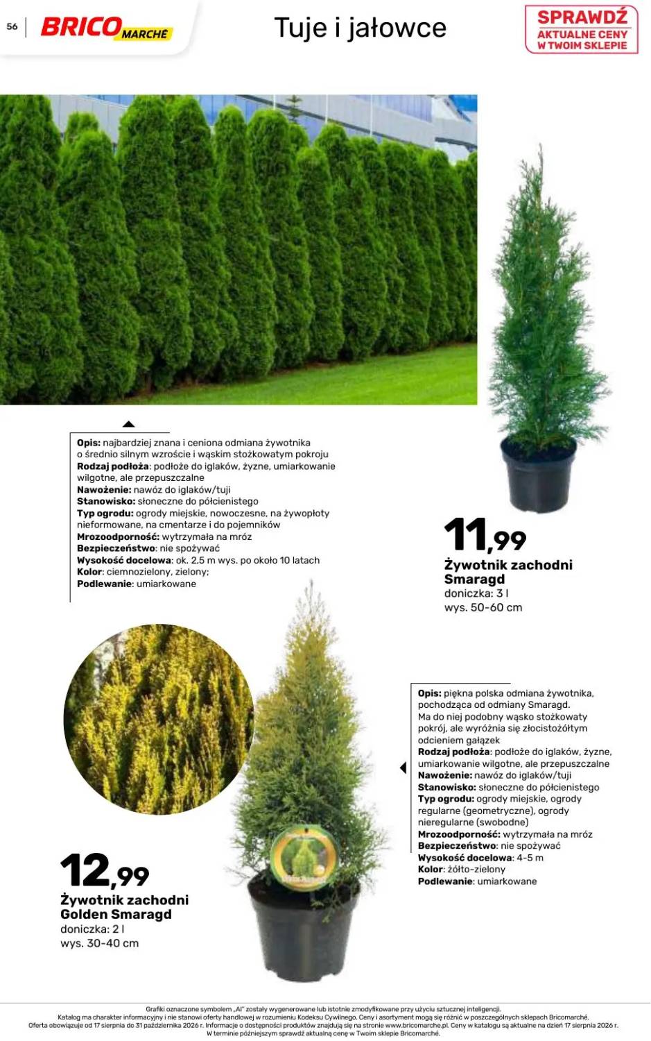Gazetka – strona 56