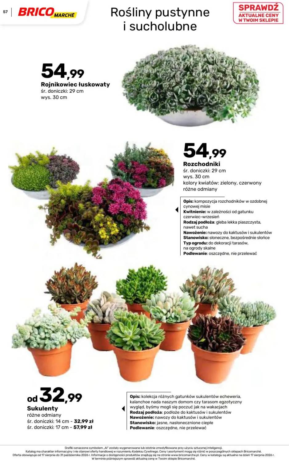 Gazetka – strona 57
