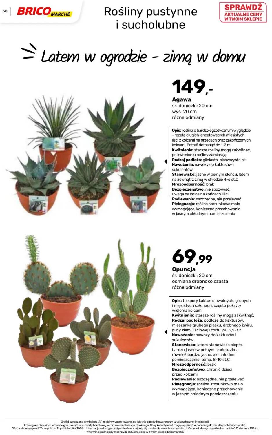 Gazetka – strona 58