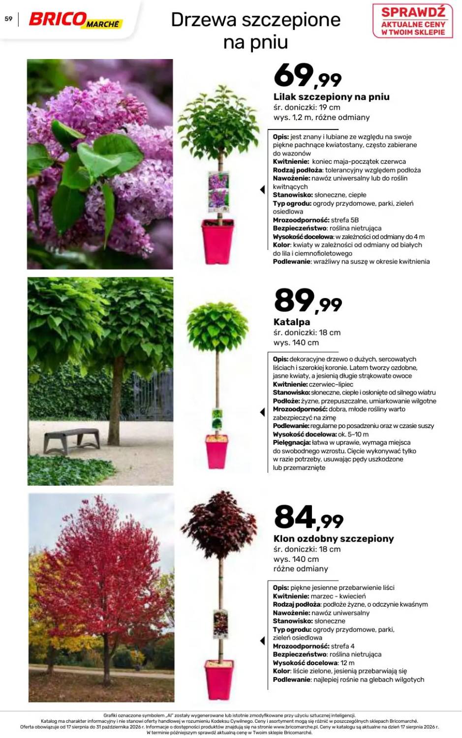 Gazetka – strona 59