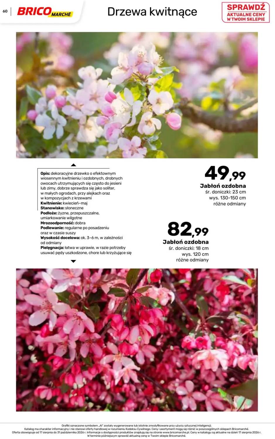Gazetka – strona 60